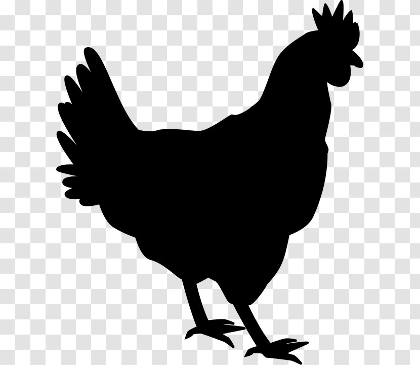 Chicken Rooster Silhouette Hen Clip Art - Wildlife Transparent PNG