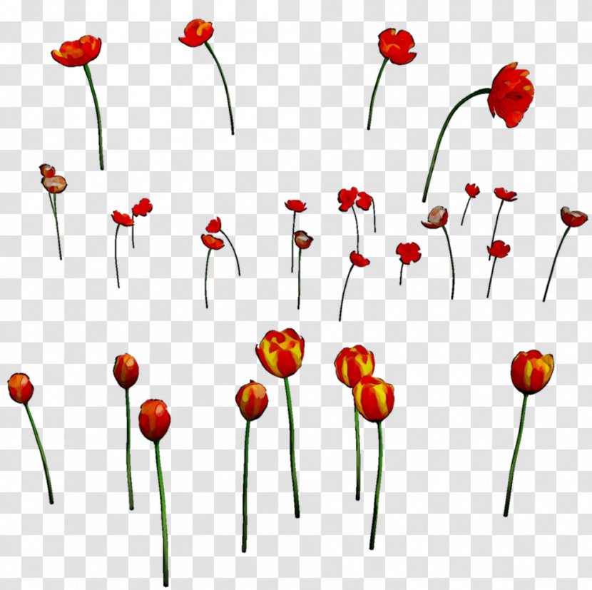 Clip Art Flowering Plant Stem Plants - Pedicel - Wildflower Transparent PNG