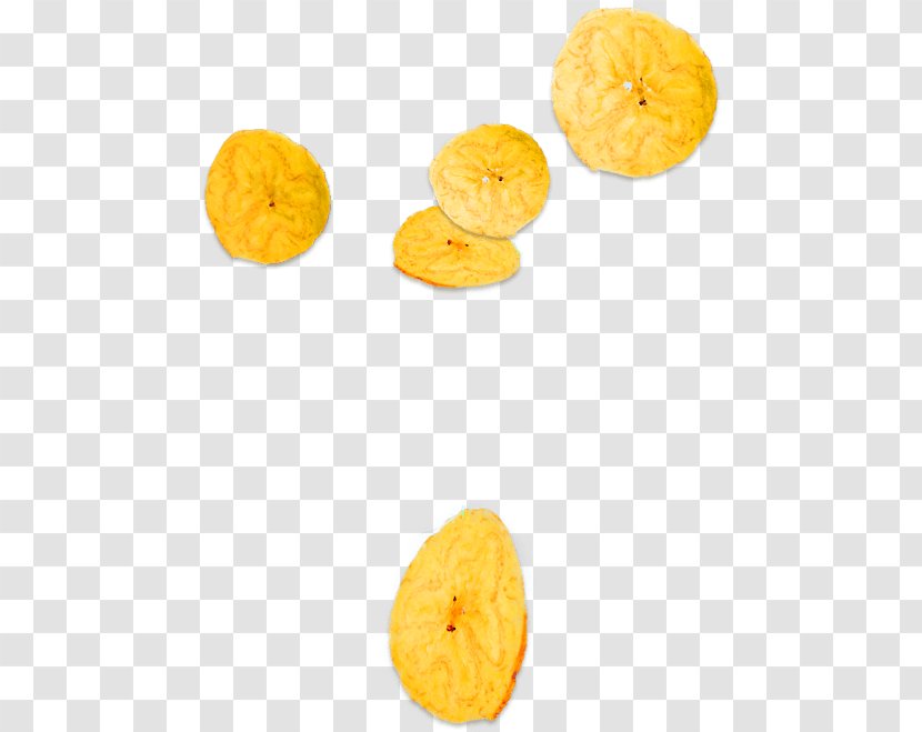 Citrus Vegetarian Cuisine ARA Food Corporation Snack - Plantain Chips Transparent PNG