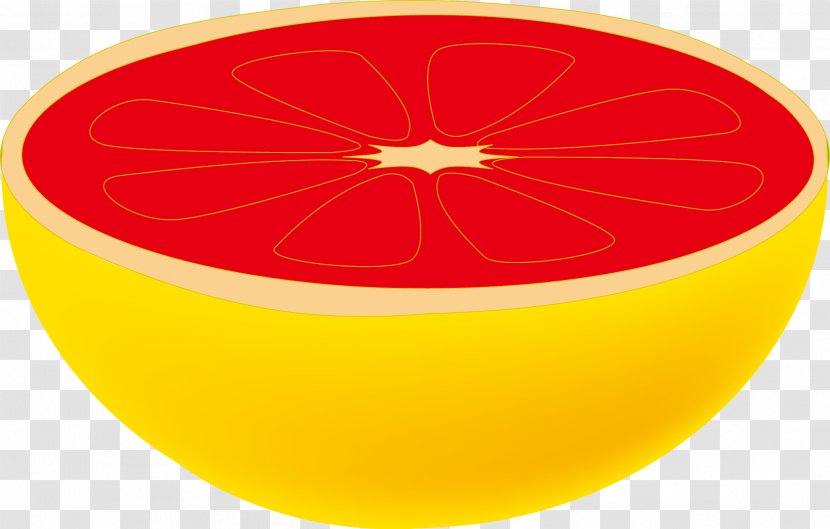 Circle Grapefruit Font - Cartoon Vector Transparent PNG