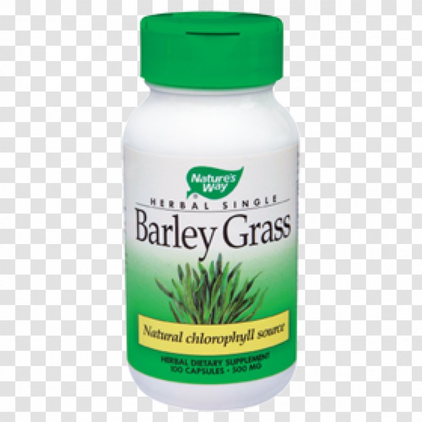 Dietary Supplement Herb Capsule Vitamin Dandelion - Pharmaceutical Drug - Barley Transparent PNG