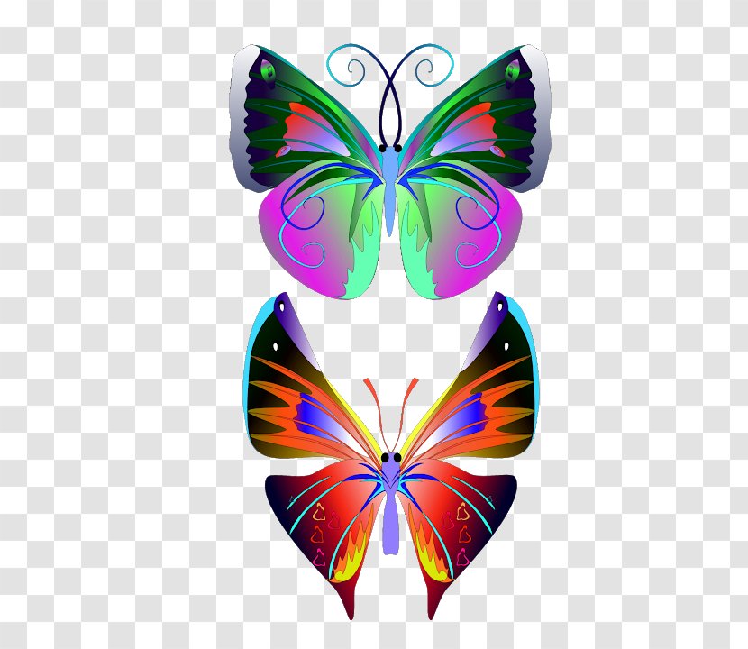NZ Ink Tattoo Studio Butterfly Brush-footed Butterflies Paper Art - Nz - Material Transparent PNG