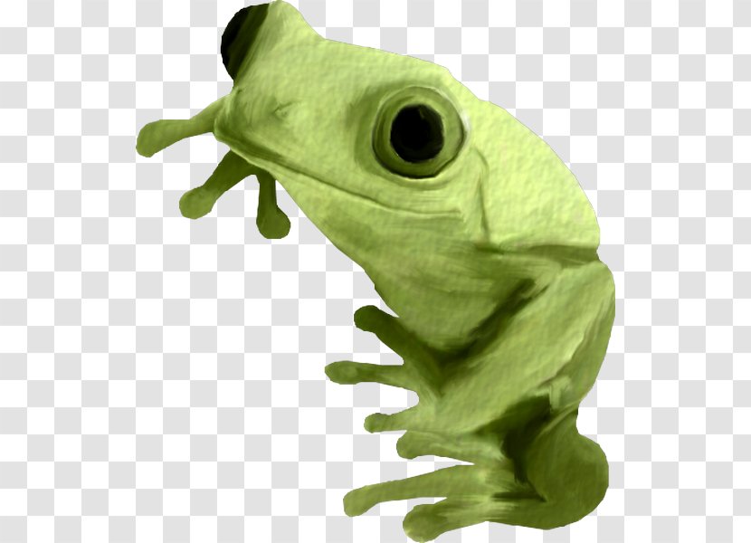 True Frog Clip Art - Digital Image - Aug 31st Transparent PNG