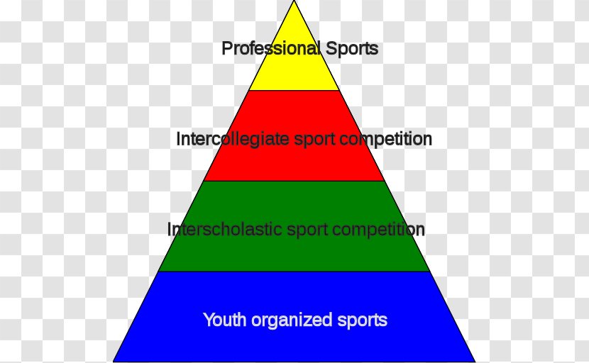 Student Athlete Sports College - Diagram Transparent PNG