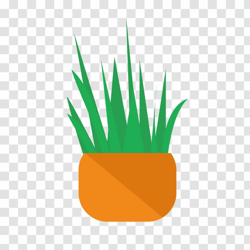 Product Design Desktop Wallpaper Computer - Flowerpot - Potted Plant Overview Transparent PNG