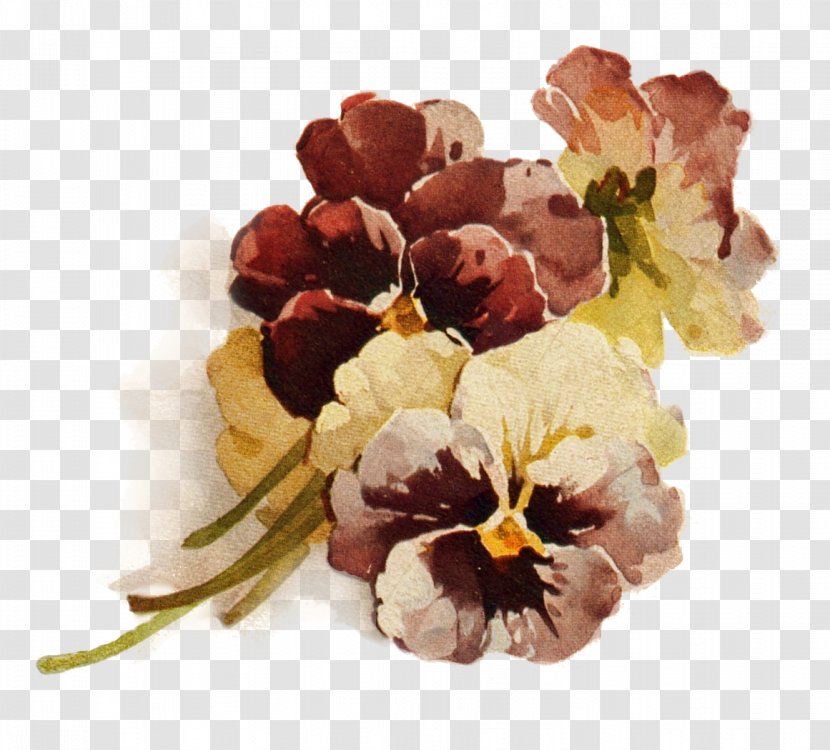 Flower Lavender Color Clip Art - Petal Transparent PNG