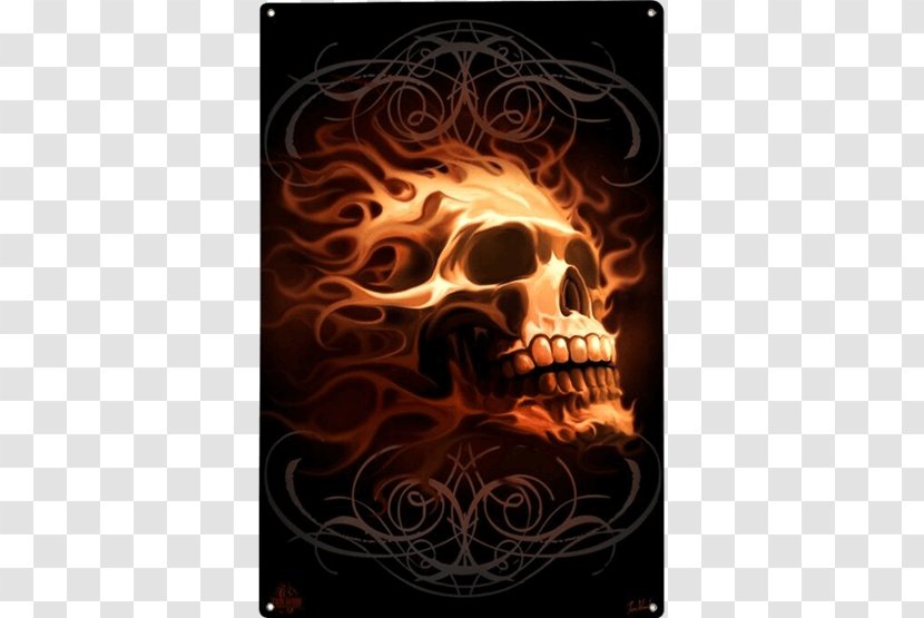 Skull Of A Skeleton With Burning Cigarette Human Symbolism Poster Art Transparent PNG