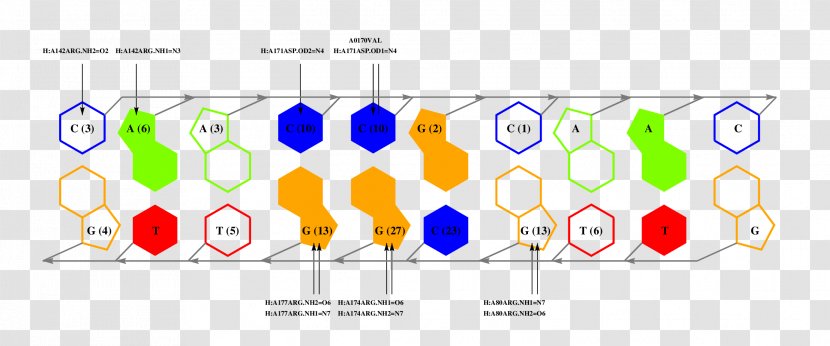 Graphic Design Brand Pattern - Area Transparent PNG