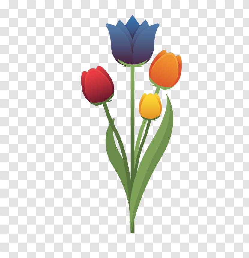Netherlands Tulip Flower - Information Transparent PNG
