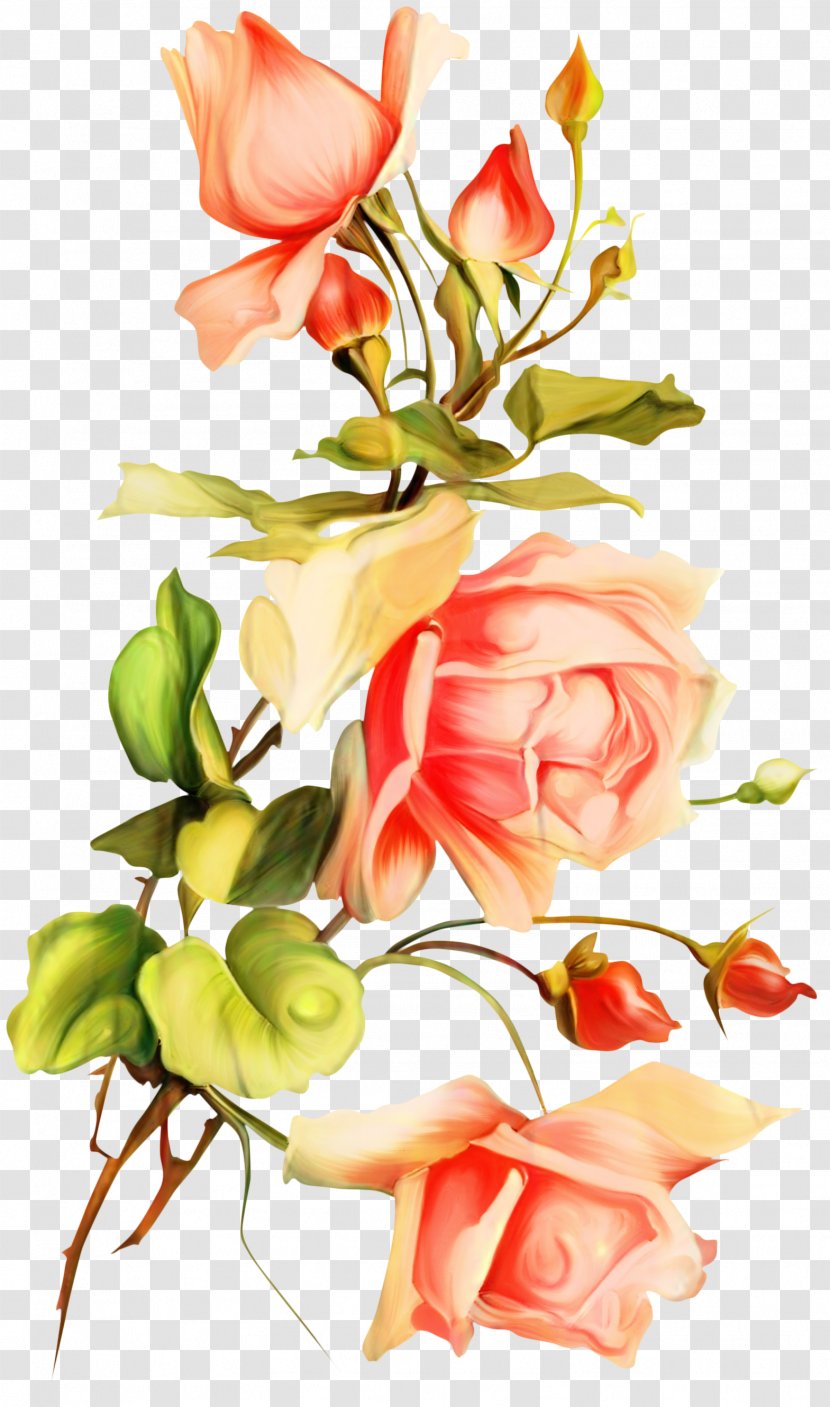 Garden Roses Floral Design Cut Flowers - Flower Arranging Transparent PNG