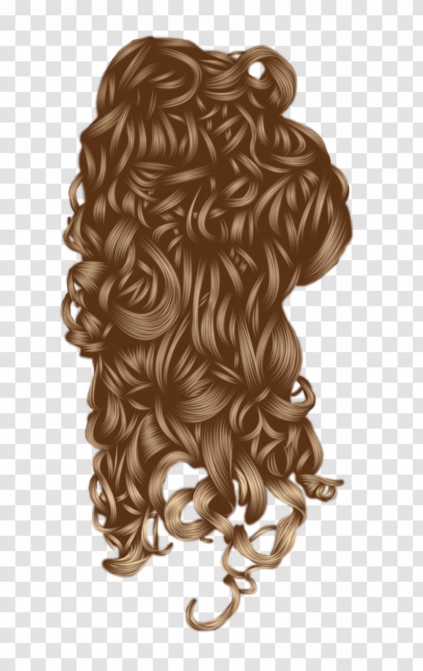 Hairstyle Capelli Black Hair - Human Color - Golden Transparent PNG