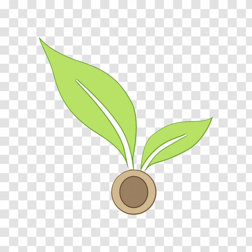 Lily Flower Cartoon - Plant Stem - Perennial Herb Transparent PNG