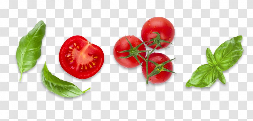 Bush Tomato Diet Food Basil - Shrub Transparent PNG