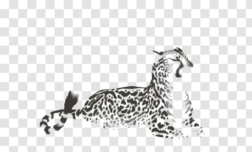 Felidae Cheetah Leopard Cat Jaguar - Whiskers Transparent PNG