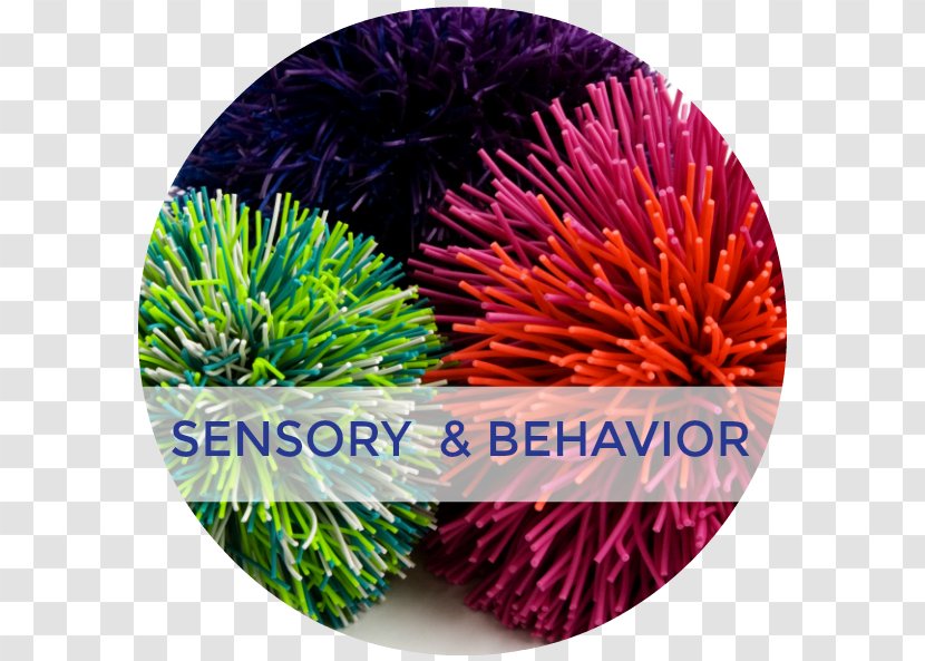 Sensory Nervous System Processing Sense Vestibular - Tactile Handwriting Ideas Transparent PNG