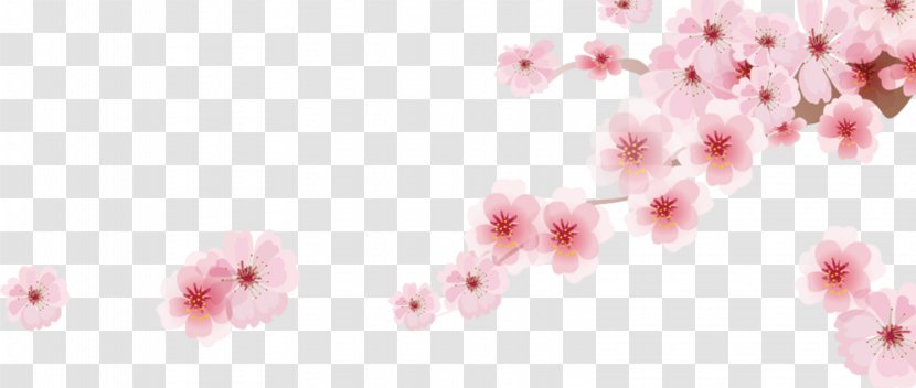 Cherry Blossom Cartoon - Romantic Sakura Japanese Decoration Transparent PNG