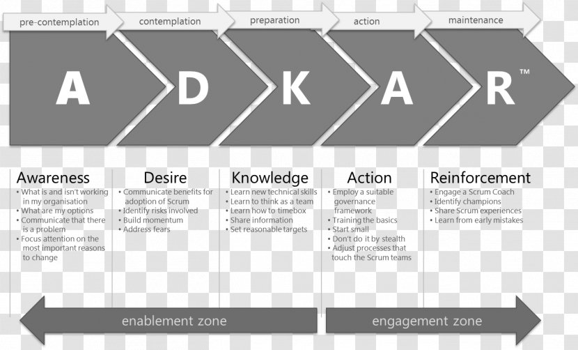 Change Management Organization ADKAR Model Leadership - Document - Book Frame Transparent PNG