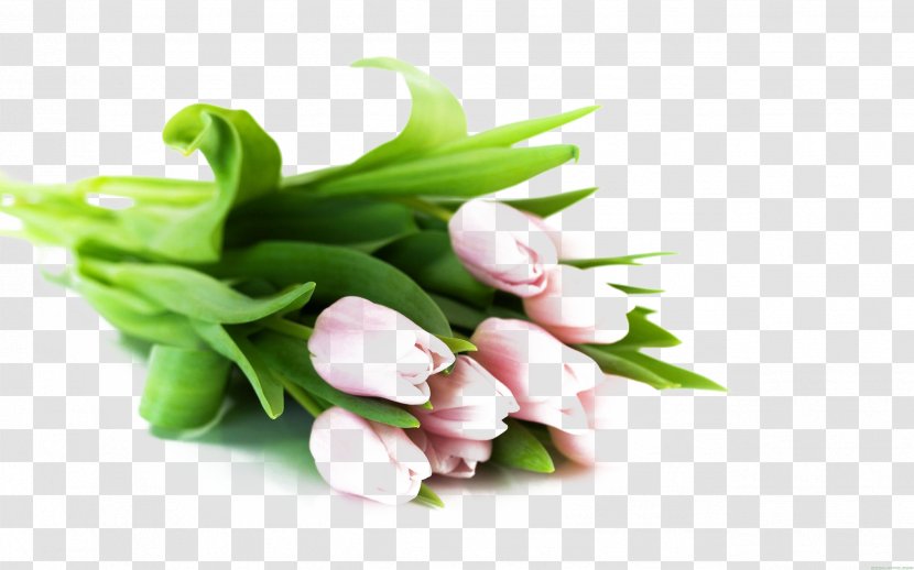 Flower Bouquet Tulip White Wallpaper - Cut Flowers - Of Pink Tulips Transparent PNG