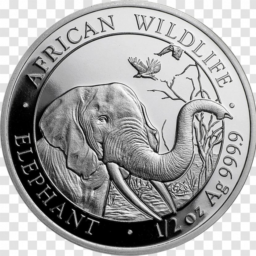 Somalia Bullion Coin Silver - Bar Transparent PNG