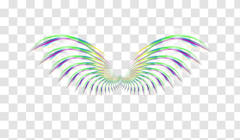 Wing Feather Icon - Transparency And Translucency - Fantasy Transparent PNG