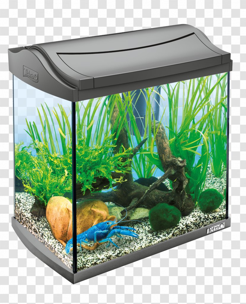 Aquarium Tetra Cascade Globe White - Freshwater - Szklana Kula Z Filtrem Starter Line LED 54L PetAquaria Poster Transparent PNG