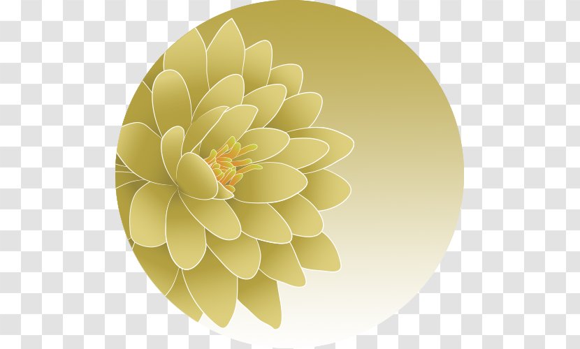 Dahlia Floral Design Petal Flower Transparent PNG