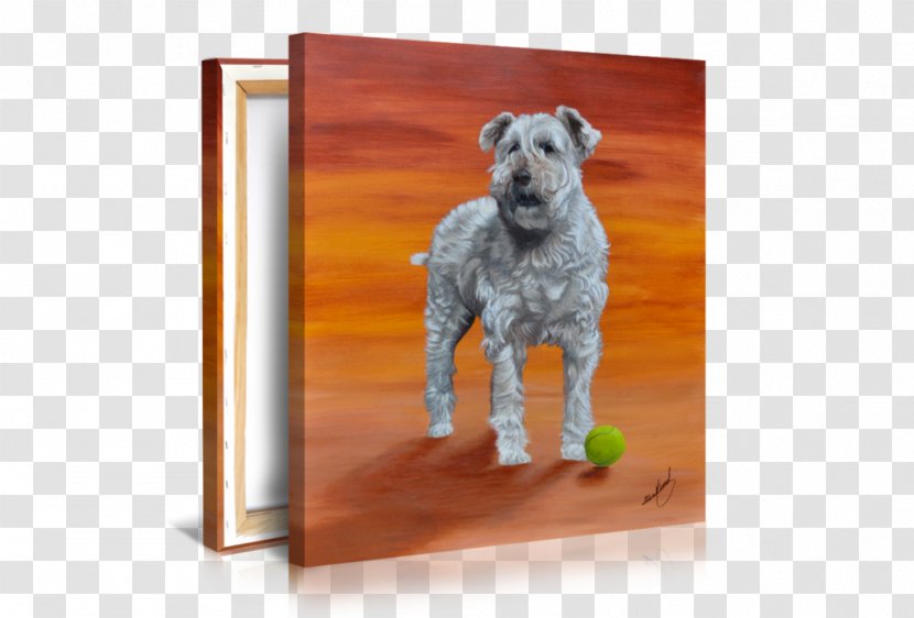Schnoodle Lakeland Terrier Irish Puppy Dog Breed - Picture Frame Transparent PNG