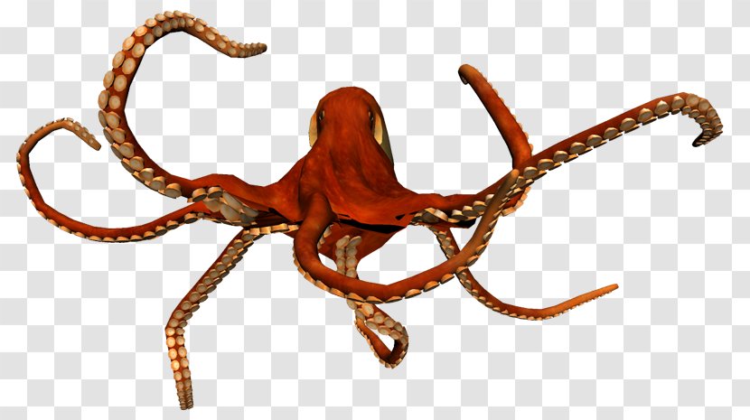 Octopus Insect Cephalopod Terrestrial Animal Pest - Figure Transparent PNG