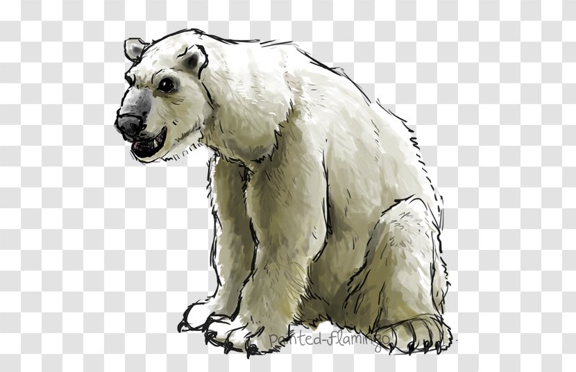 Polar Bear Carnivora Mammal Organism Transparent PNG