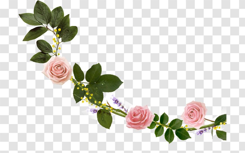 Cut Flowers Garden Roses Floral Design Floristry - Flowering Plant - Banner Transparent PNG