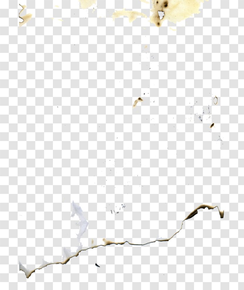 Twig Background - Paper Craft - Stain Transparent PNG