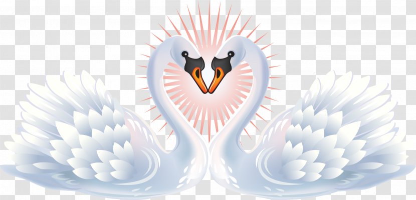 Mute Swan Clip Art Black Image - Valentines Day - Swans Transparent PNG