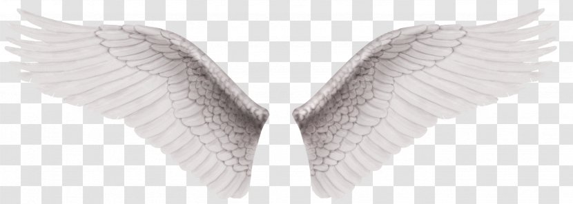 Wing White Clip Art - Printing - Wings Transparent PNG