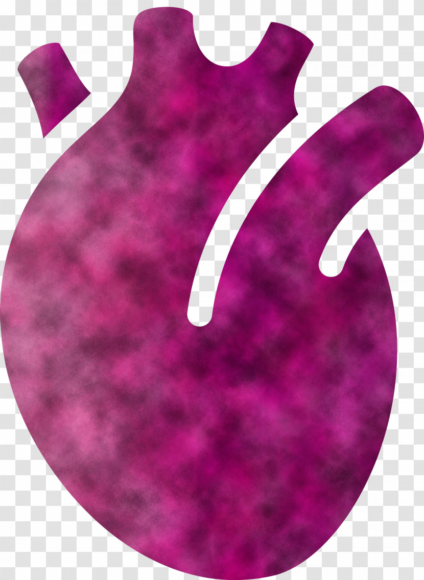 Heart Organ Transparent PNG
