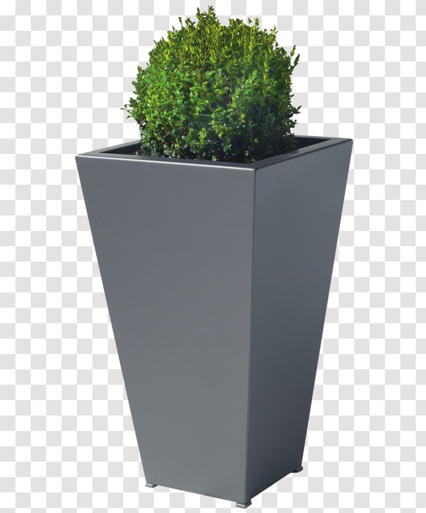 Flowerpot Herb Rectangle - Design Transparent PNG