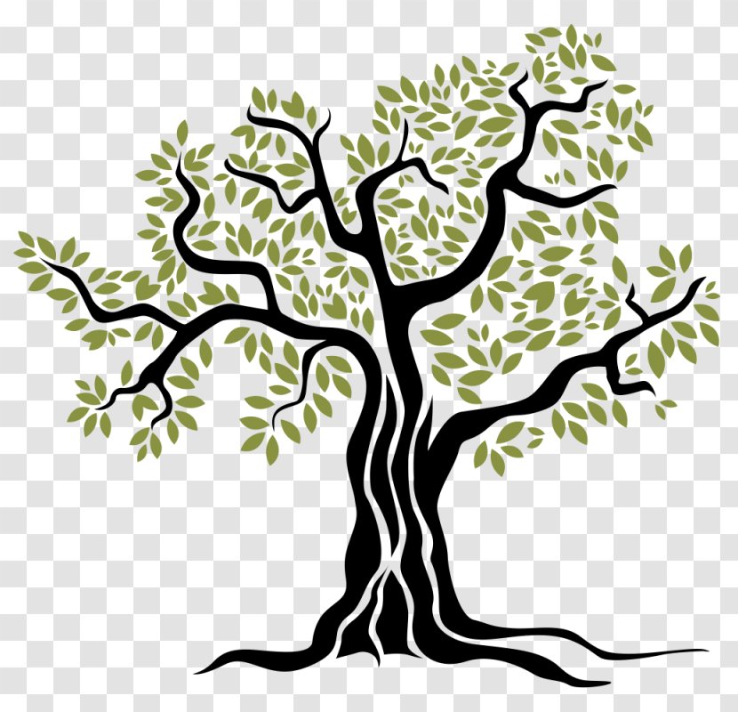 Olive Tree - Artwork Transparent PNG