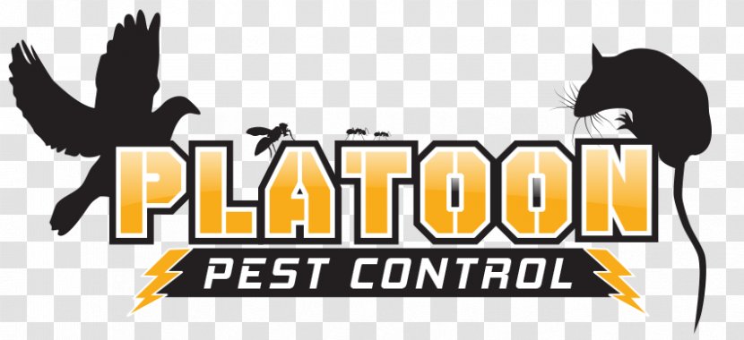 Pest Control Brown Rat Cockroach Black Garden Ant - Advertising - Management Transparent PNG