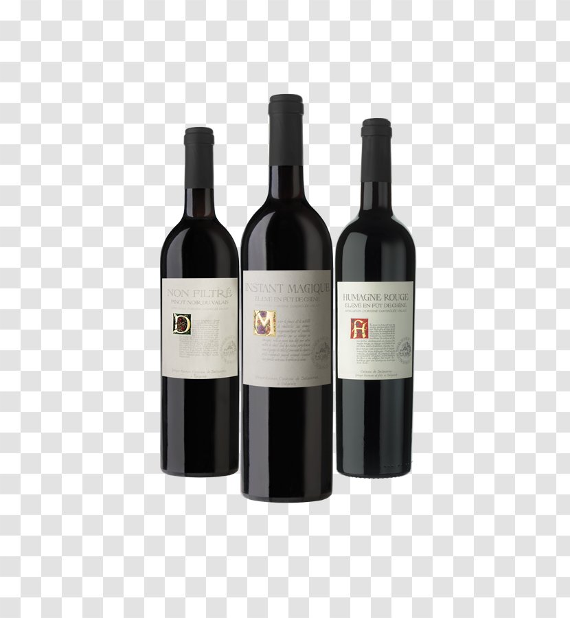 Wine Tasting GREGOR KUONEN Caveau De Salquenen AG Pinot Noir Shiraz - Social Media Transparent PNG
