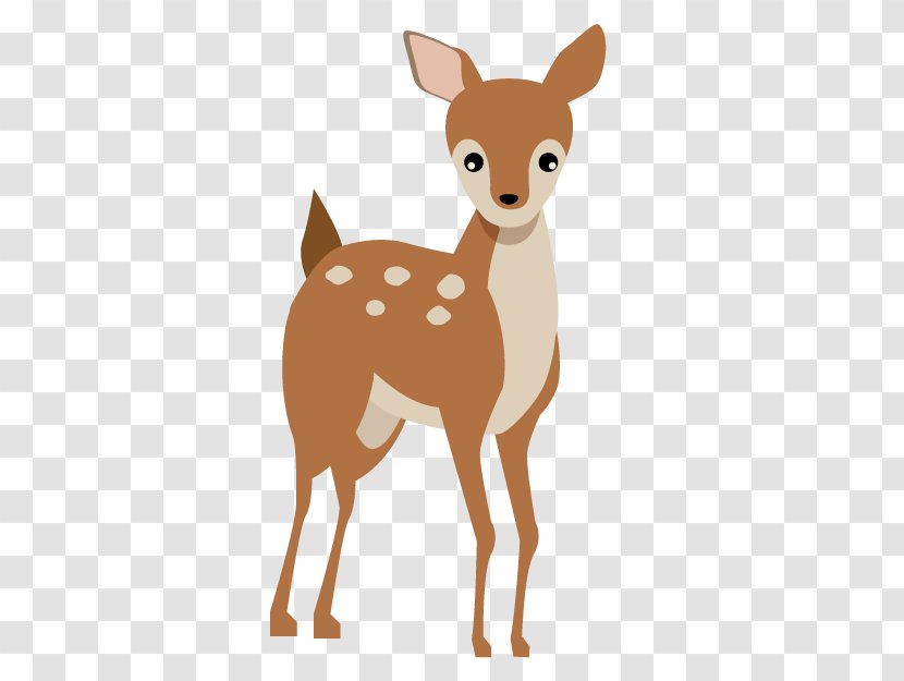 Deer Fawn Roe Snout Wildlife - Tail Transparent PNG