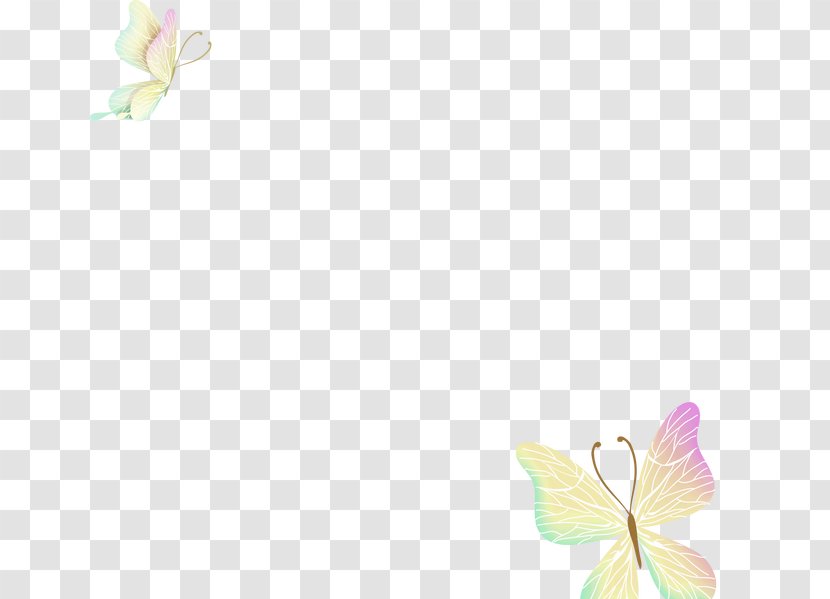 Petal Pattern - Pink - Butterfly Transparent PNG