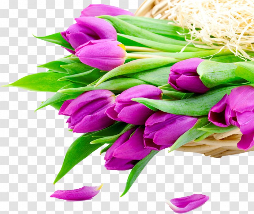 Flower Bouquet Tulip Stock Photography White - Purple Tulips Transparent PNG