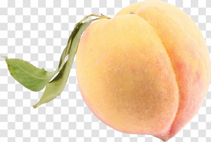 Image Resolution Clip Art - Apricot - Longevity Peach Transparent PNG