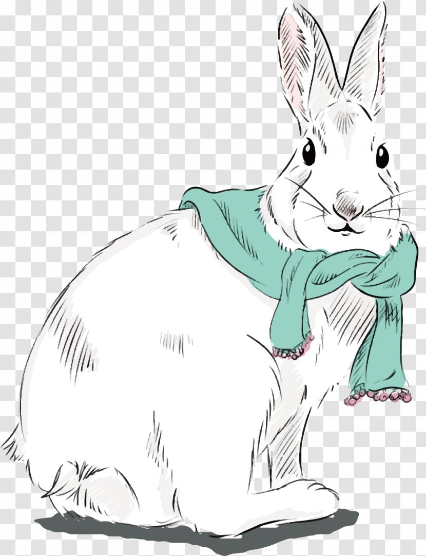 Domestic Rabbit Hare Whiskers Illustration - Easter Bunny - Sketch Vector Transparent PNG