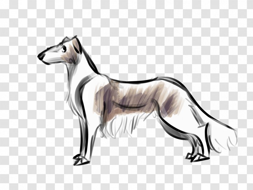 Dog Breed Whippet Italian Greyhound Spanish - Roan German Longhaired Pointer Transparent PNG