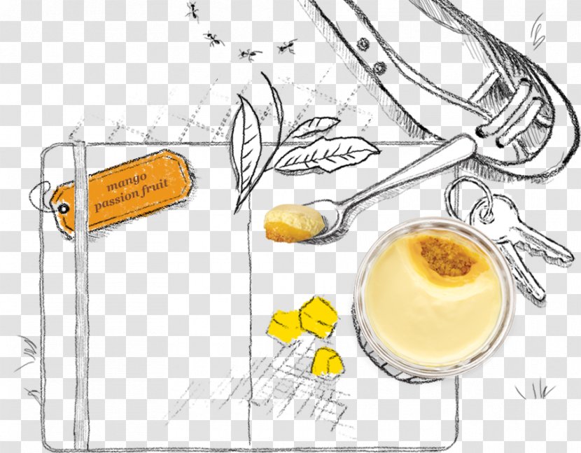 Food Mango Drawing - Organism - Tangy Transparent PNG