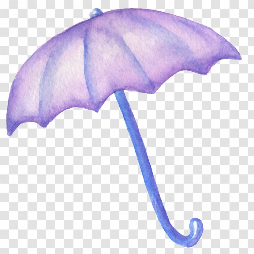 Purple Google Images Gratis Mulberry - Resource - Umbrella Transparent PNG
