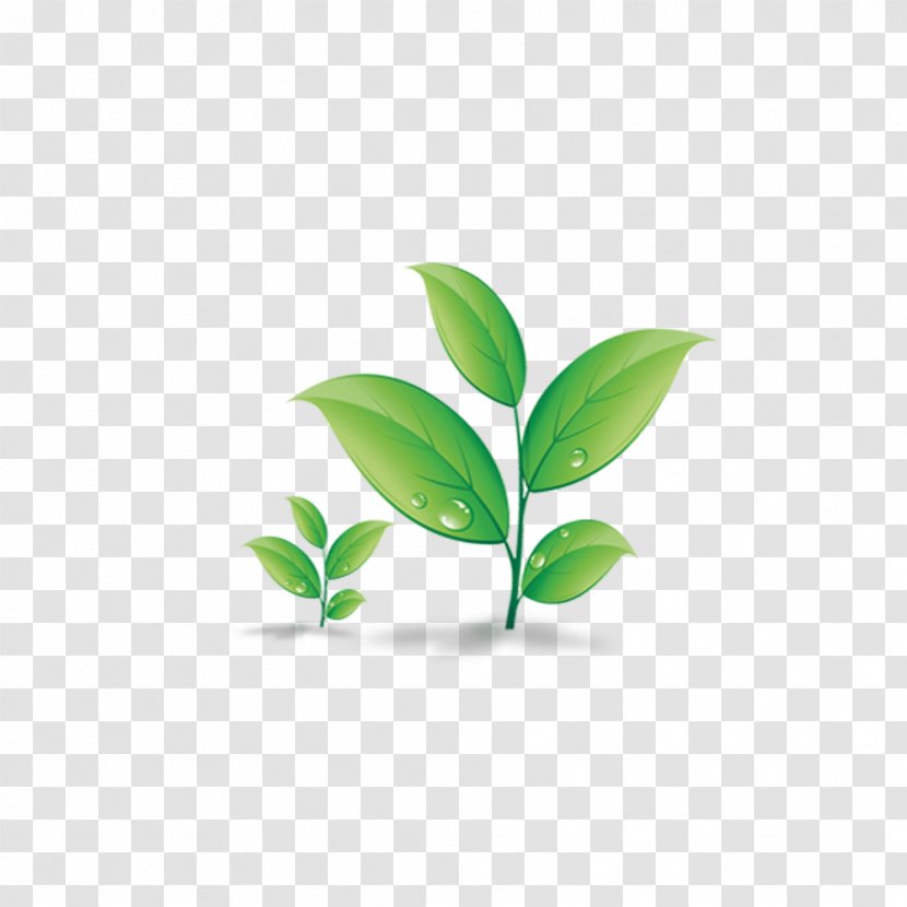 Download - Green - Leaves Of Grass Transparent PNG