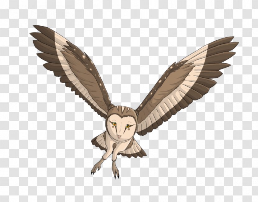 Owl Beak Feather - Bird Transparent PNG