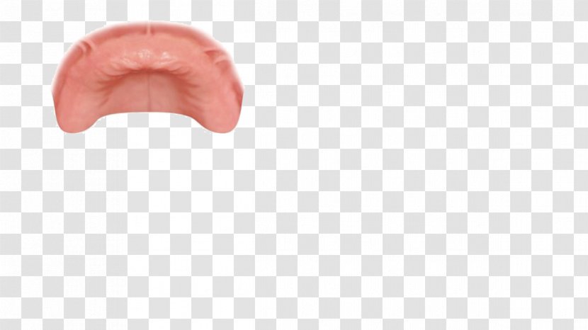 Human Mouth - Lip - Design Transparent PNG