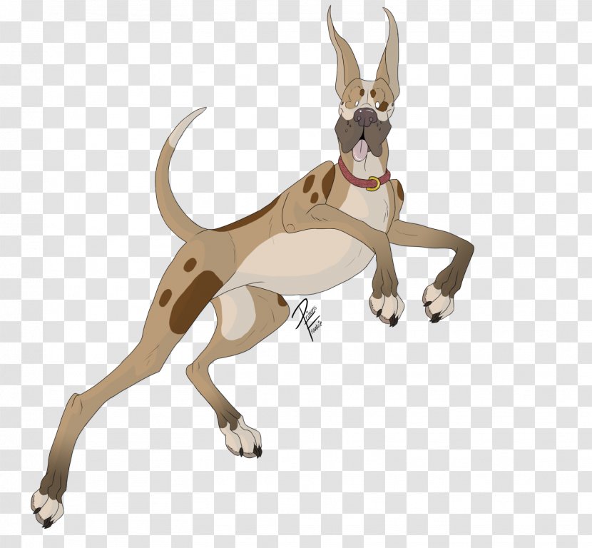 Dog Breed Cat Macropodidae Paw Transparent PNG